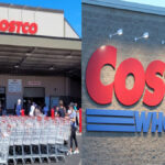 costco stock