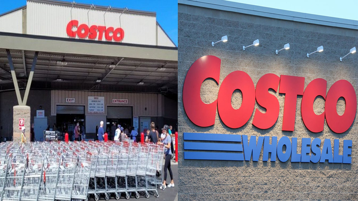 costco stock